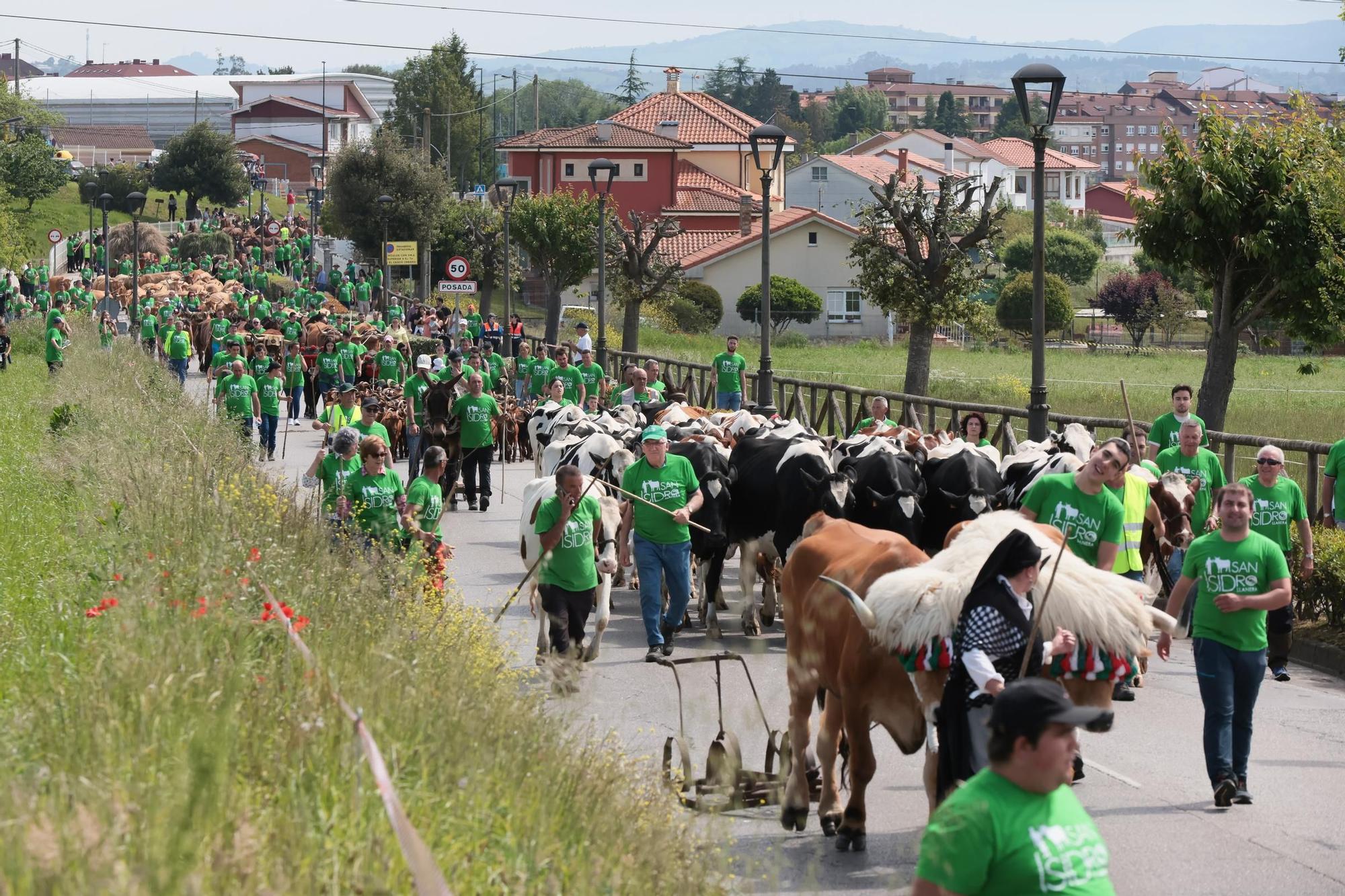 Marea verde en Llanera: el campo tomó la calle con el espectacular desfile de carros y animales