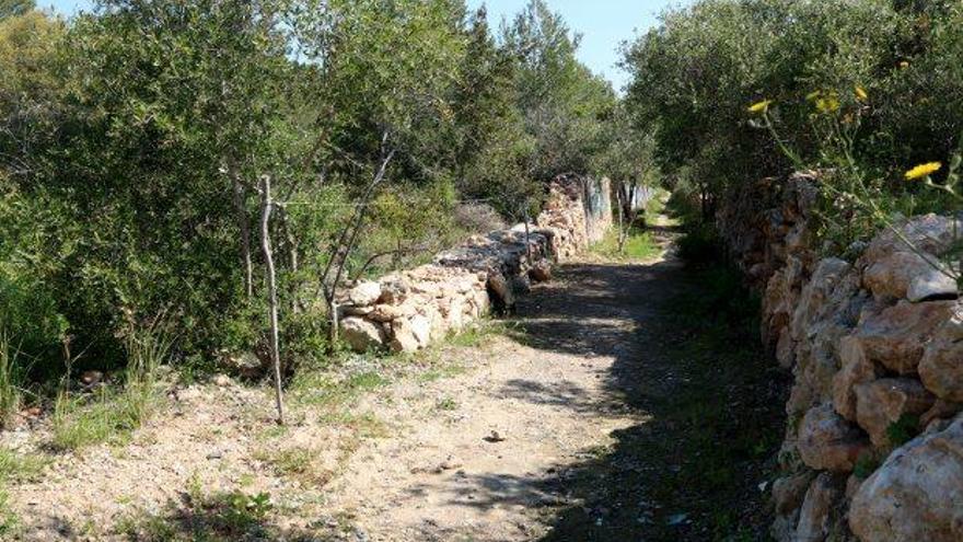 El tram del camí ramader recuperat a Vilanova i la Geltrú