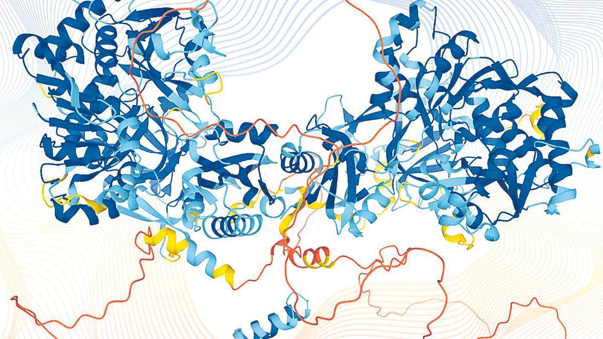 Visualización de una proteína analizada a través del algoritmo de AlphaFolf.