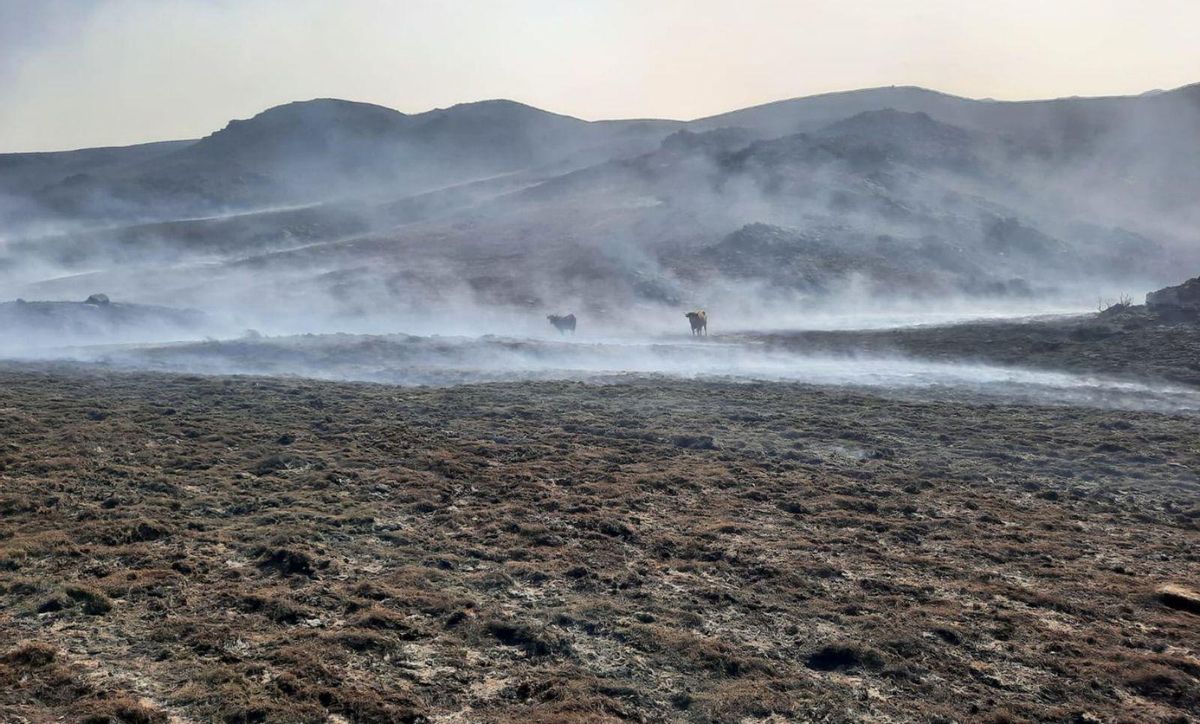 El camp reclama entrar en el pacte d’estat contra el canvi climàtic El camp reclama entrar en el pacte d’estat contra el canvi climàtic
