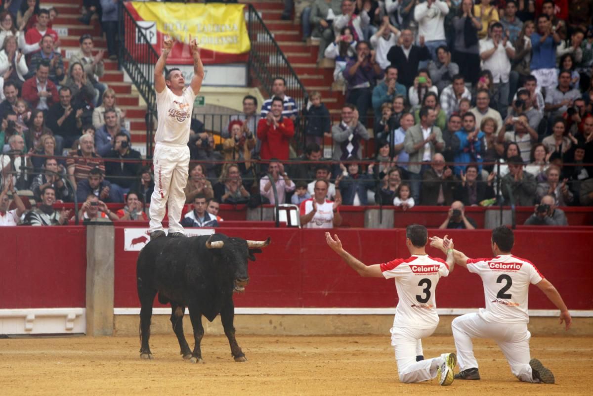 Los festejos taurinos