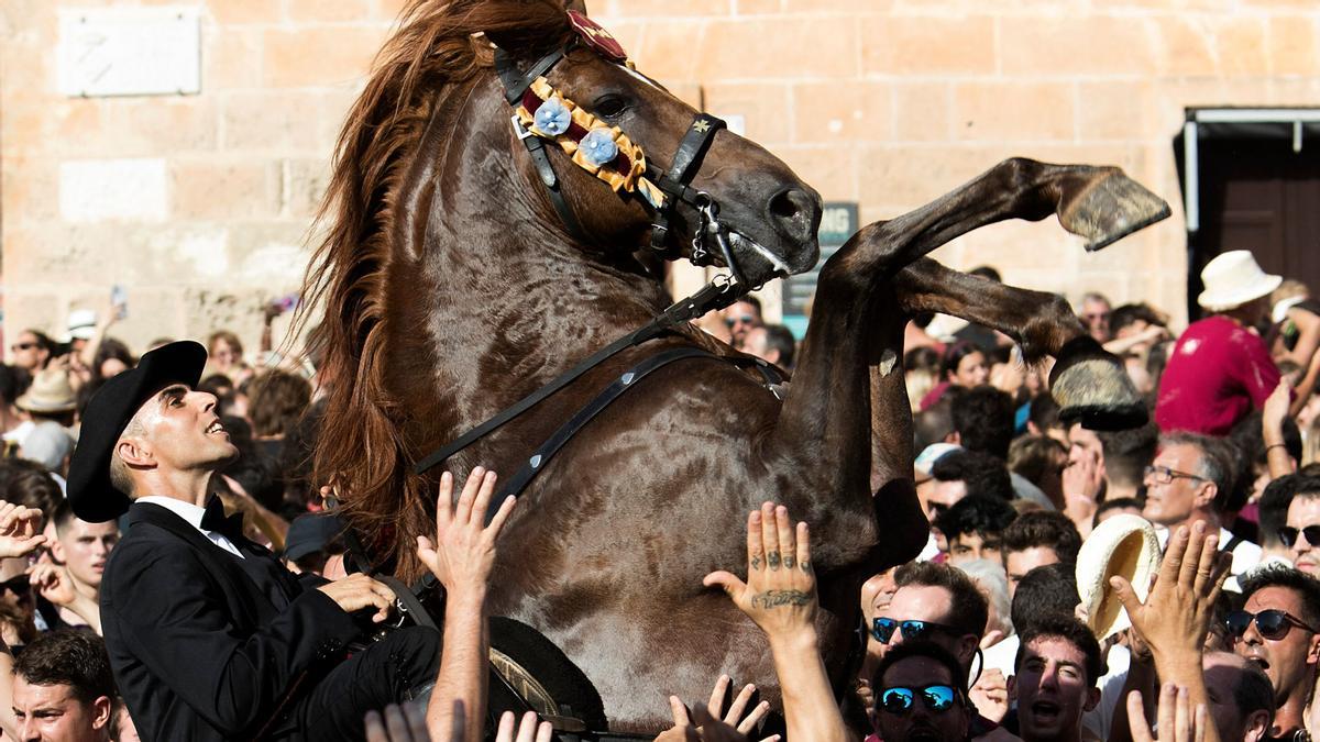 La gente se arremolina ante los caballos al ritmo de la música durante la tradicional fiesta de Sant Joan en Ciutadella