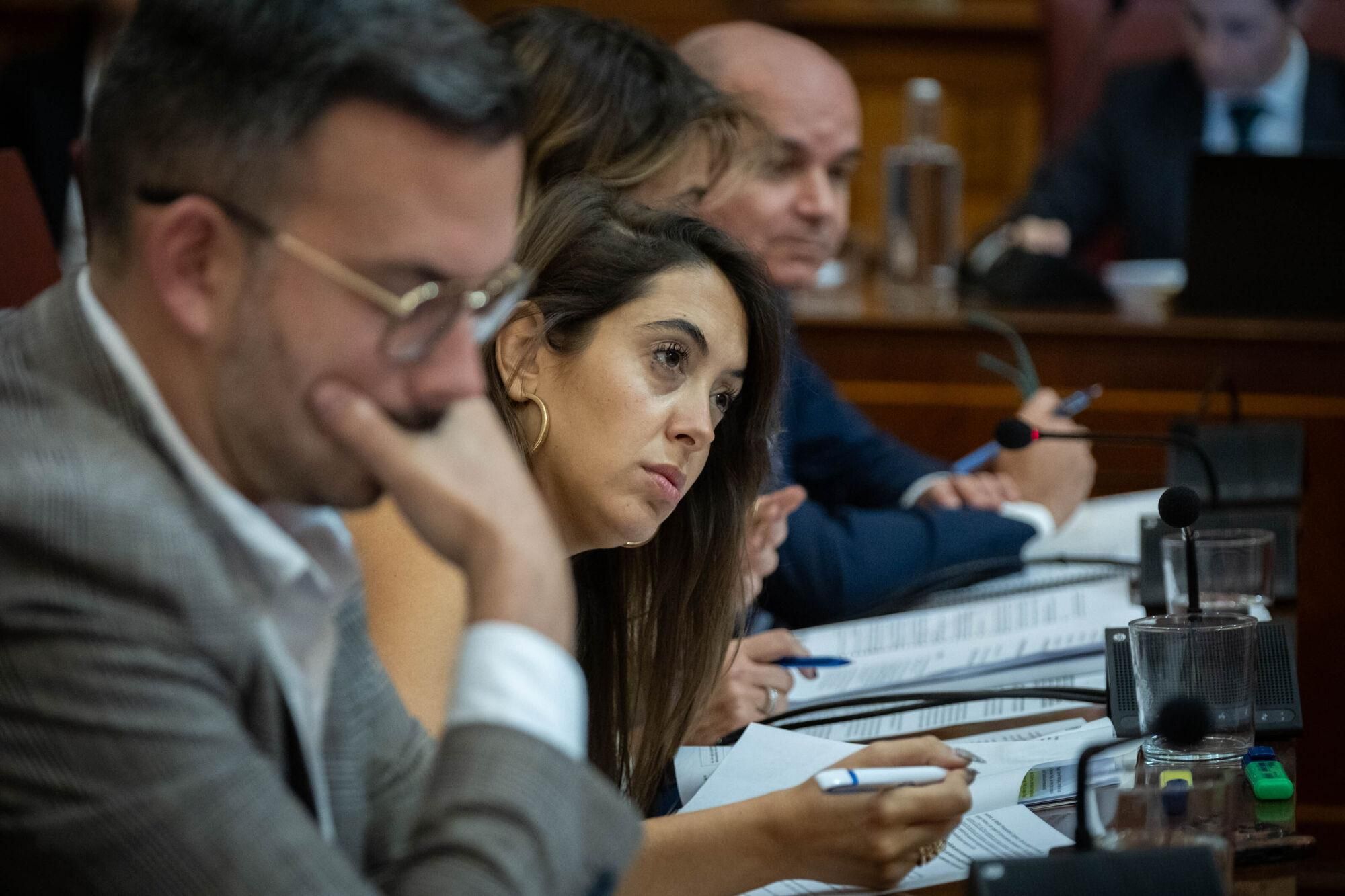 Pleno del Ayuntamiento de Santa Cruz 