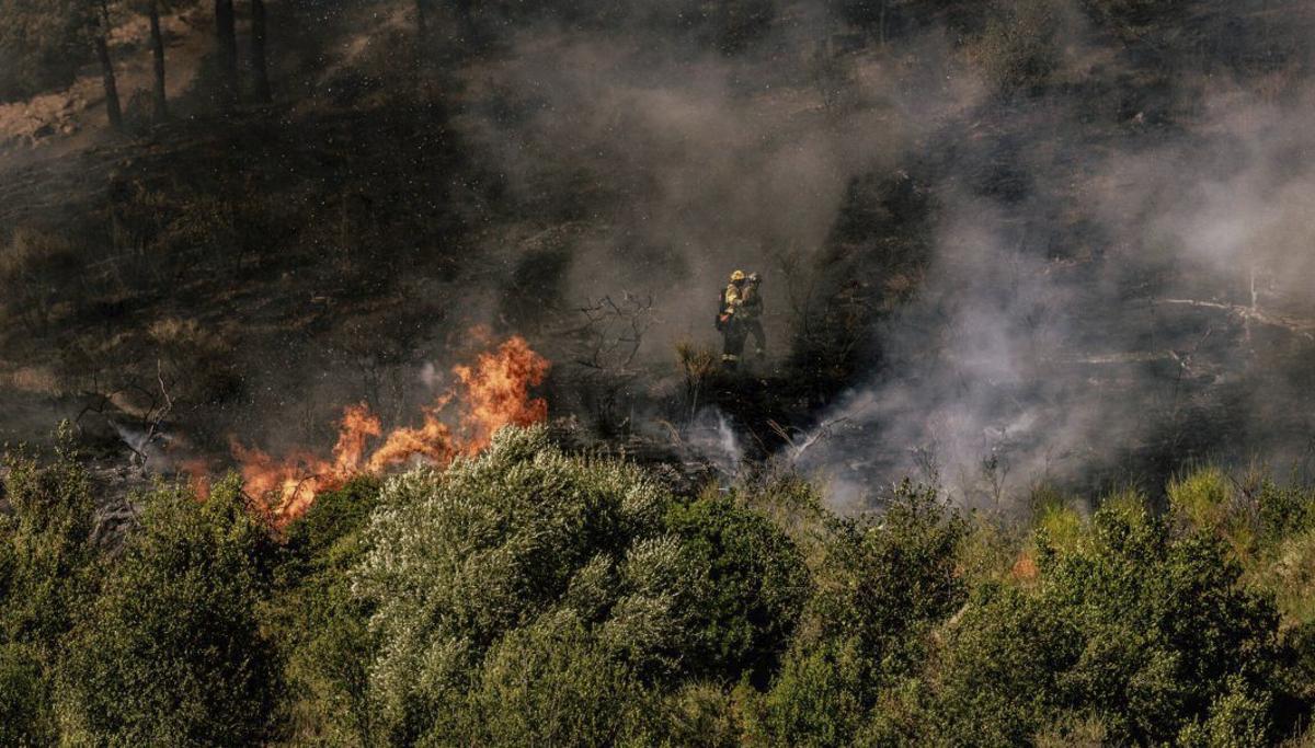 Un incendi a Collserola obliga a desallotjar veïns a Torre Baró