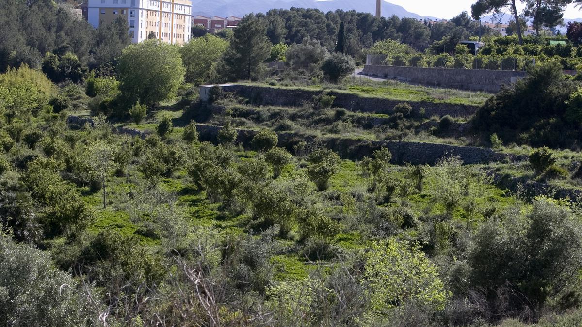 Zona en los alrededores del Riu Nou donde se encuentran los terrenos expropiados.