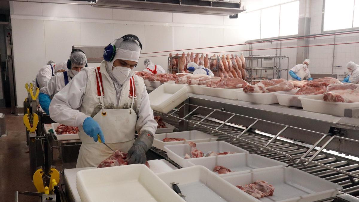 Treballadors a l'interior d'una empresa càrnia de les comarques gironines