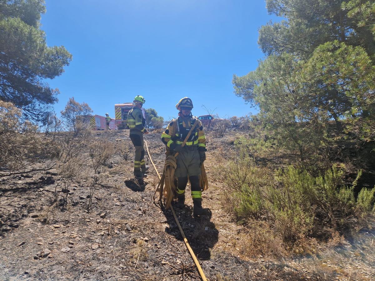 En imágenes I El operativo del Infoar en el sector 1 del incendio de Leciñena, este viernes En imágenes I El operativo del Infoar en el sector 1 del incendio de Leciñena, este viernes