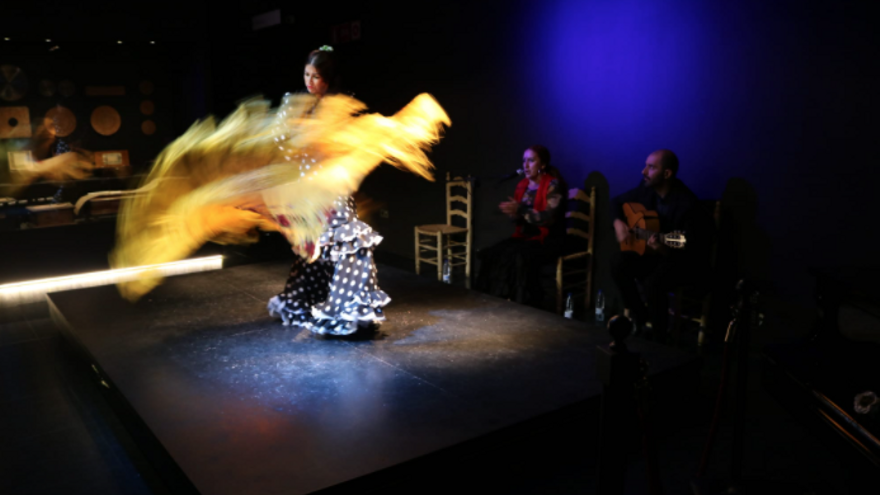 Jaleo: Flamenco show