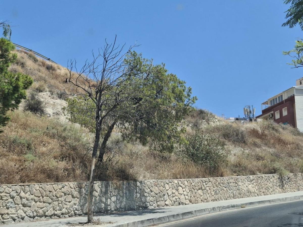 El PSOE alerta de que Alicante es un "polvorín" en pleno riesgo extremo de incendios