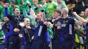 Los jugadores suecos celebran un gol