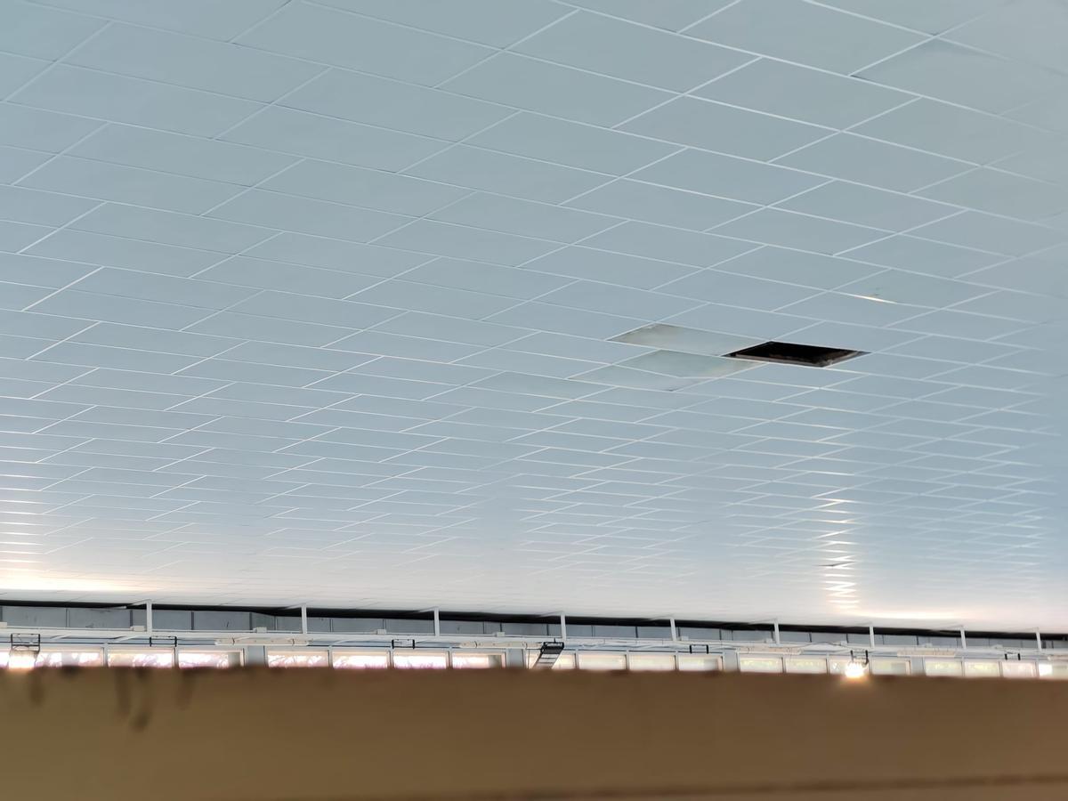 El techo de la instalación desde el cual cayó la pieza al agua
