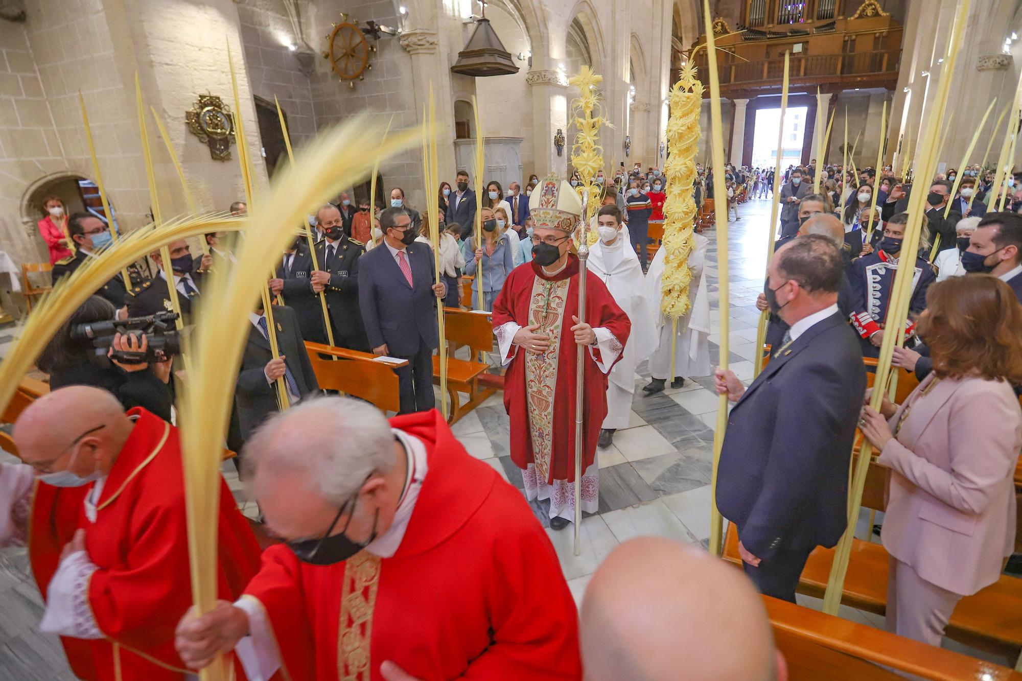 El obispo Munilla preside la procesión de las Palmas en Orihuela