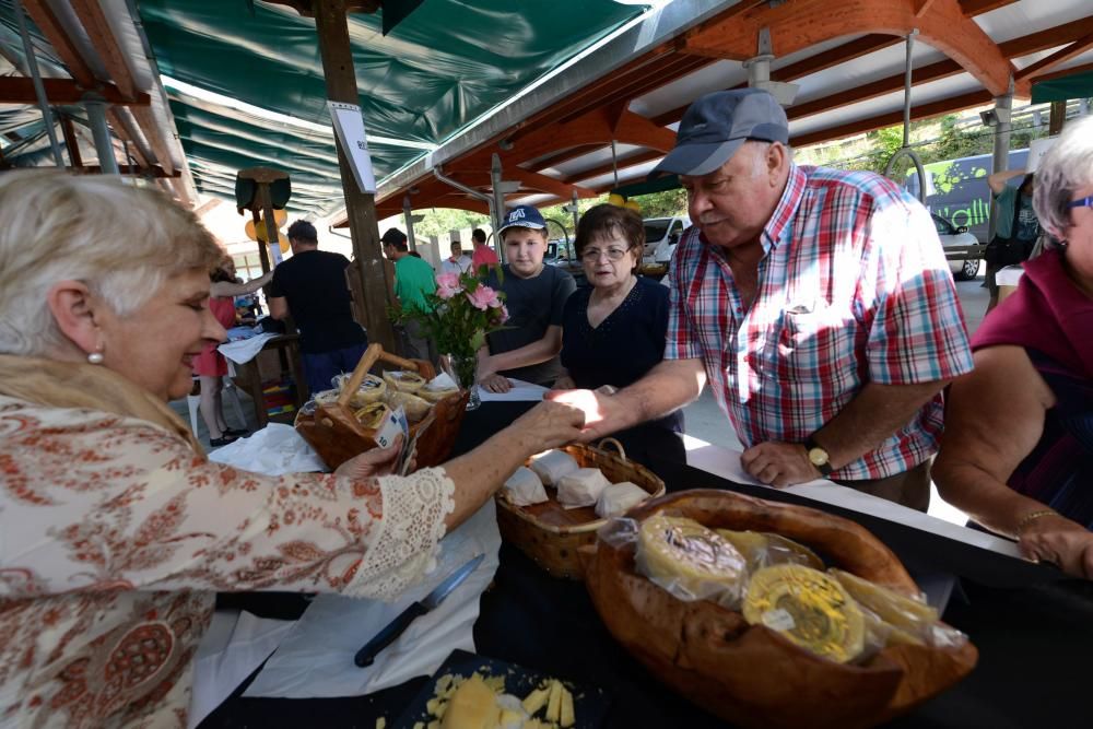 Certamen del queso Casín en Campo Caso