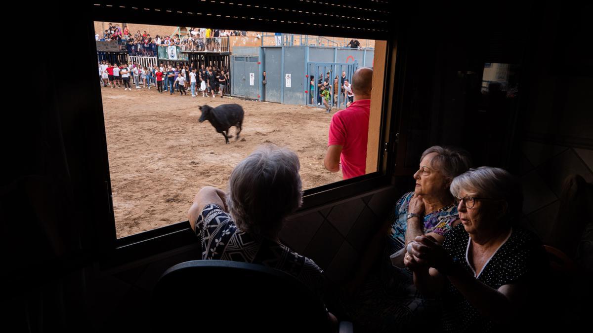 Toros en fiestas de Vila-real