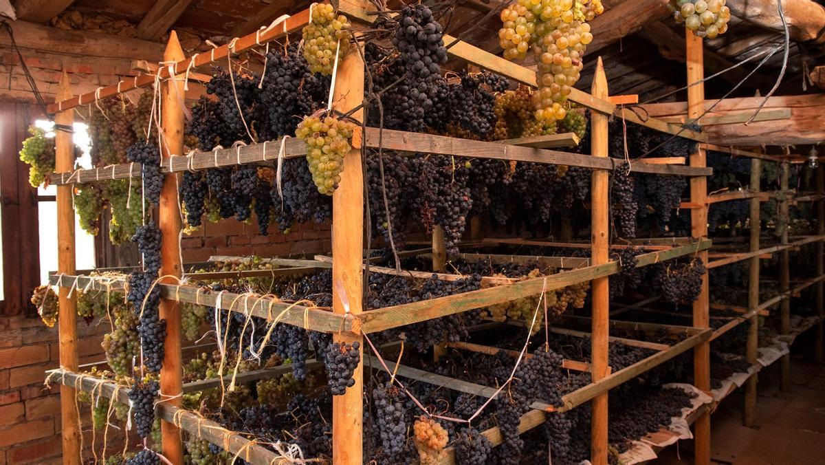 La sala de Bodega Oxuel donde se hace el 'supurao' de las uvas.