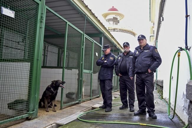 Reportaje a la Unidad Canina de la Policia ...