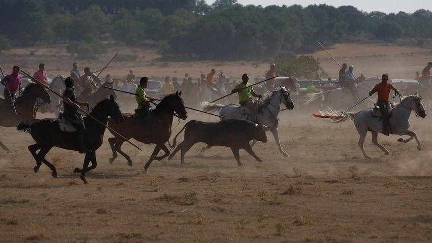 A la izquierda, el toro corre entre los caballos. A la derecha, vista general de la era durante el festejo.