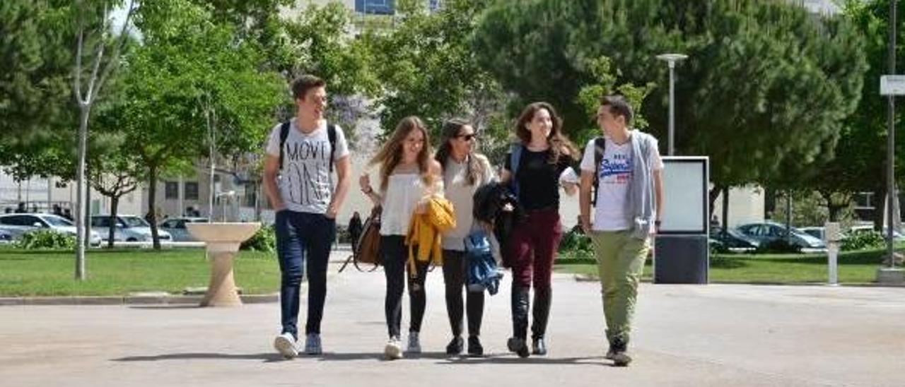 Alumnas y alumnos de la Universitat Politècnica de València en el campus de Vera.