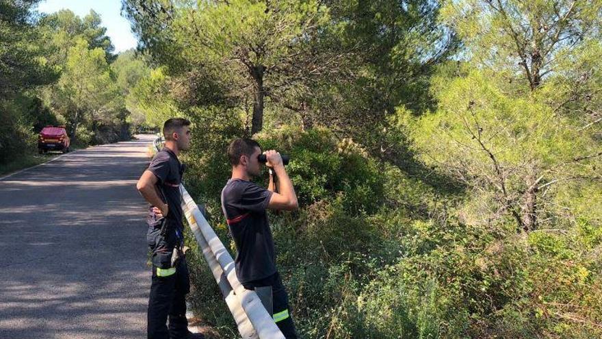 Escapan dos toros de lidia de una ganadería de Tales