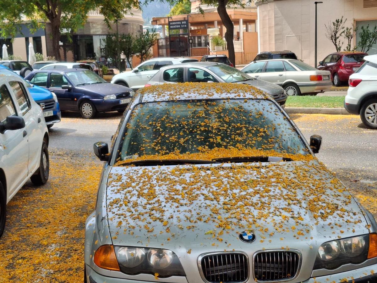 Un coche enviscado de flores amarillas en Dénia