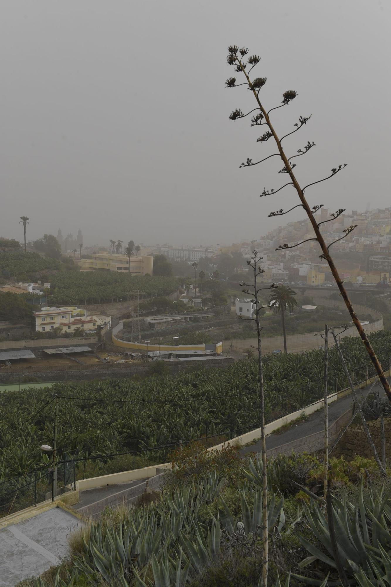 Calima sobre Gran Canaria