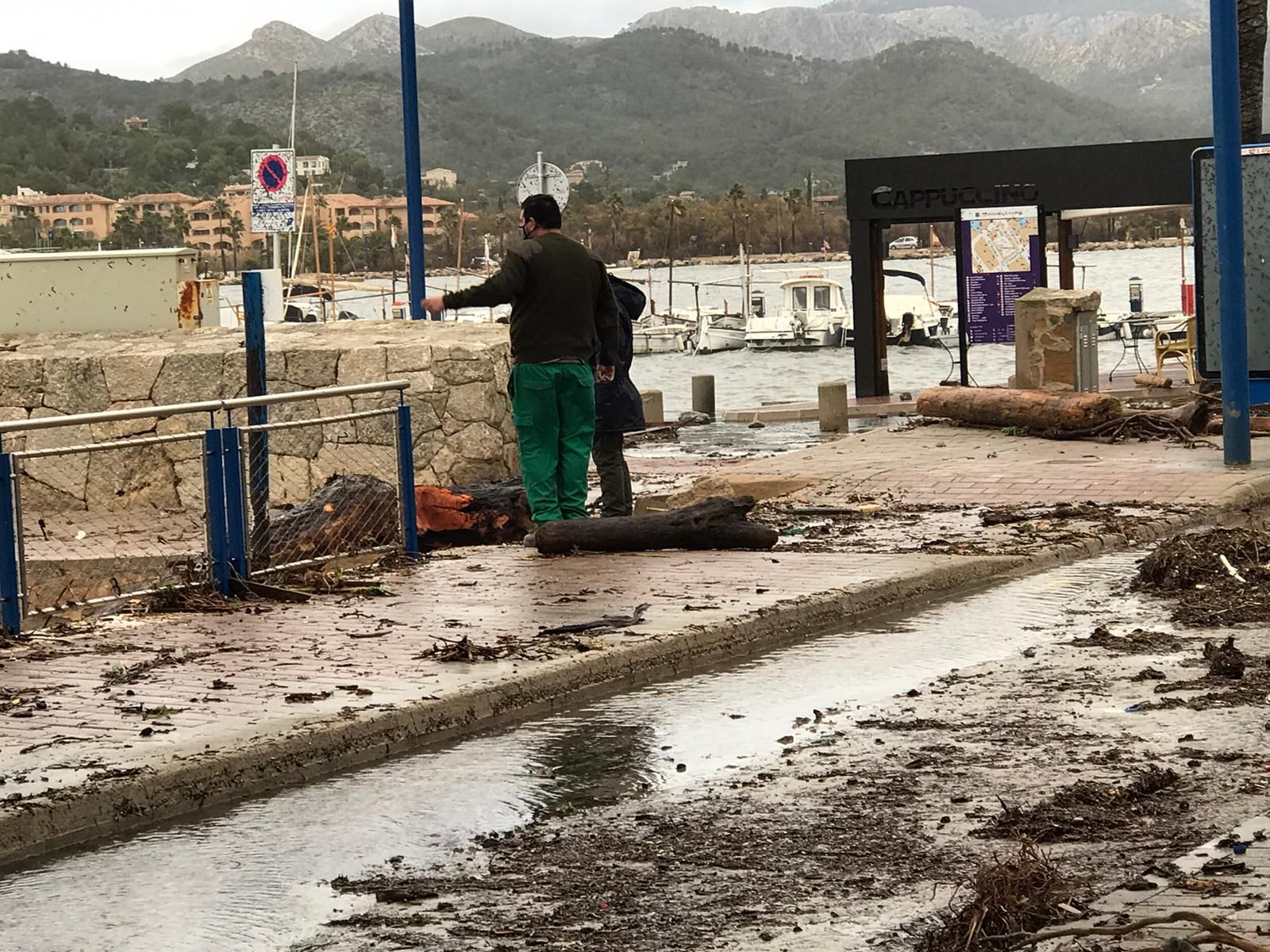 Bella provoca grandes destrozos en el Port d'Andratx