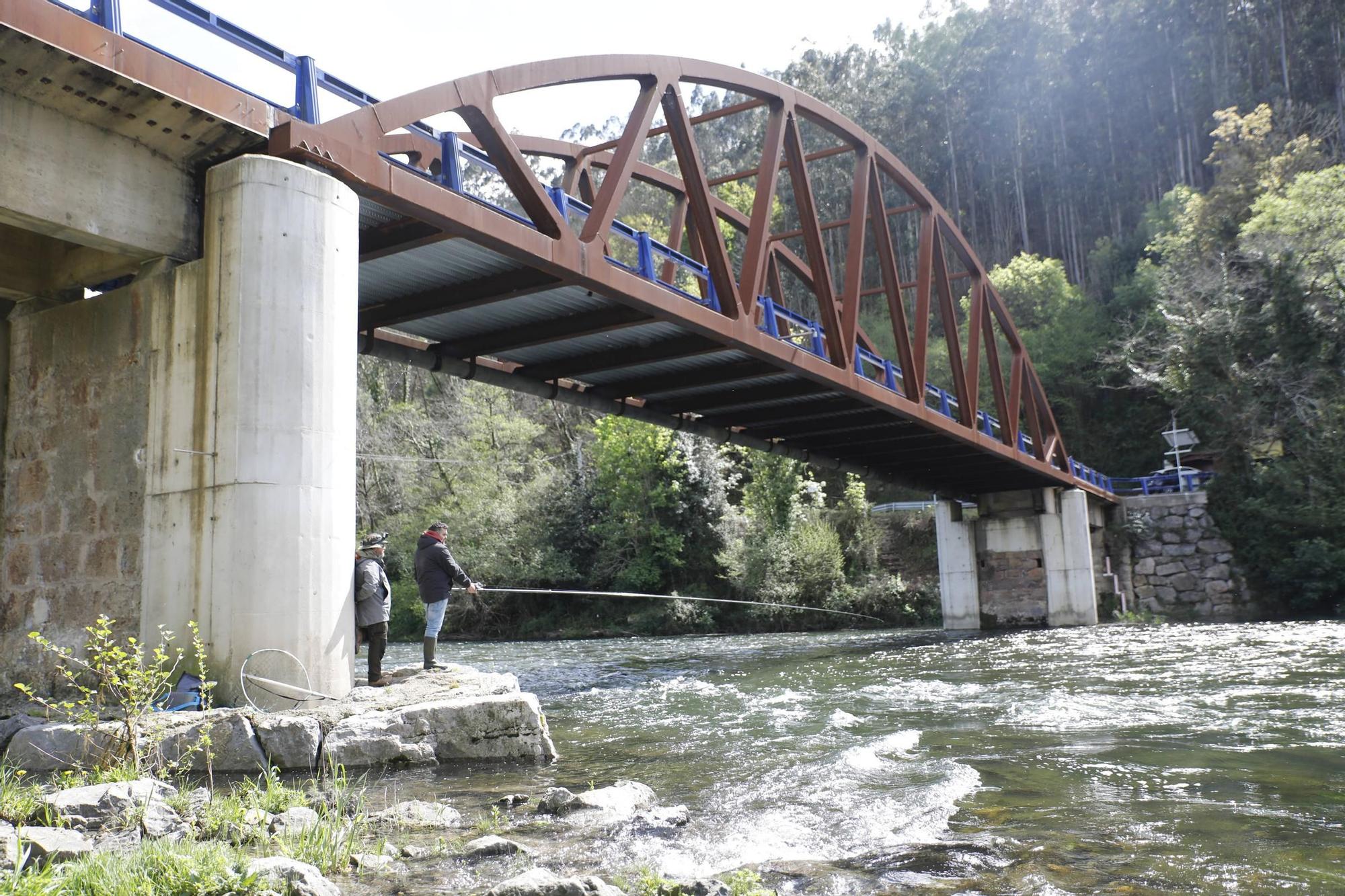 EN IMÁGENES: Segunda jornada de pesca de salmón en los ríos asturianos
