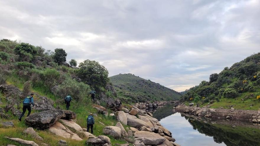 El dispositivo de búsqueda recorre el río.