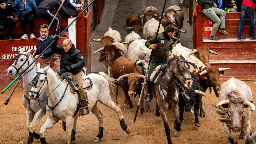 El encierro a caballo del Carnaval del Toro deja seis heridos
