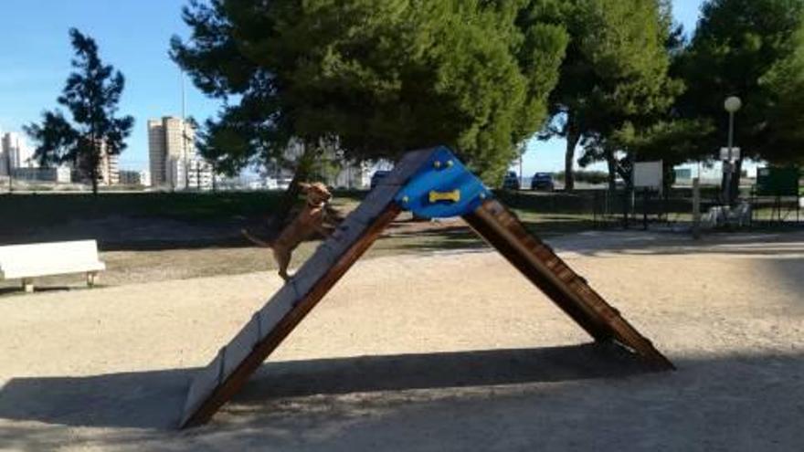 Juegos para perros en el Parque Can de El Campello