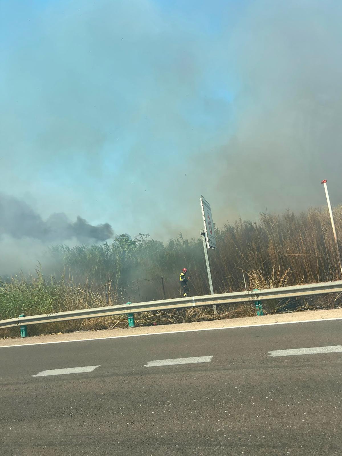 Un aparatoso incendio junto al Oceanogràfic y la autovía del Saler obliga a cortar el tráfico de entrada y salida a la ciudad