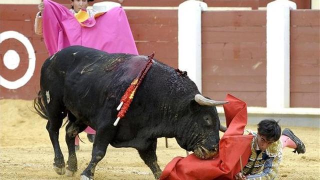 Feria de Valladolid