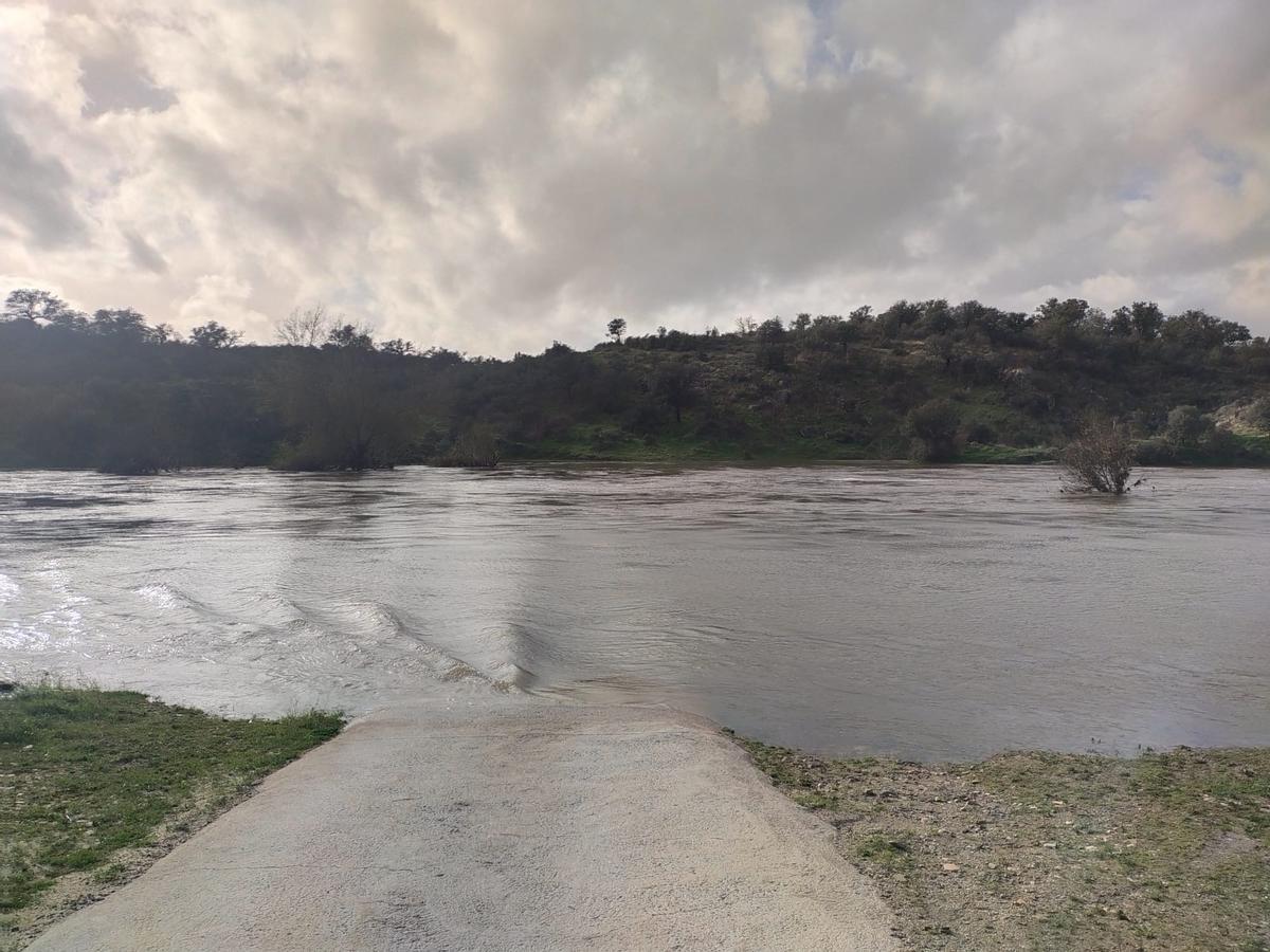 Así va el río Salor ahora mismo.