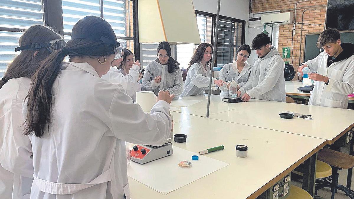 Prácticas realizadas por alumnos del Bachillerato Internacional del IES Medina Azahara.