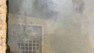 ¿Sabes cómo pueden afectarte los sedimentos en el agua que llega a un pueblo? Deleitosa alerta del deterioro de su cauce de abastecimiento