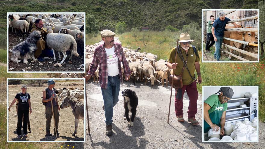 Pastores de Castellón: una aventura ancestral