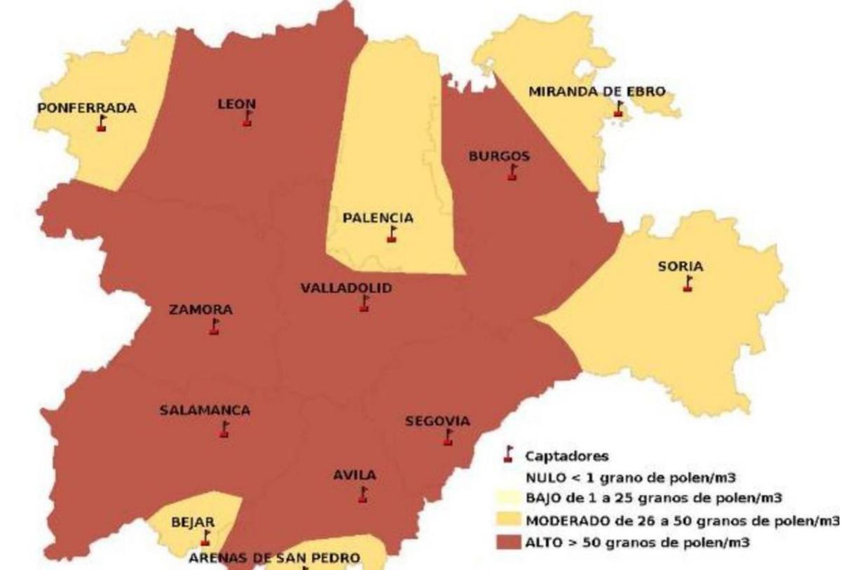 Niveles de polen de la especies de la familia del plátano de sombra. | JCYL