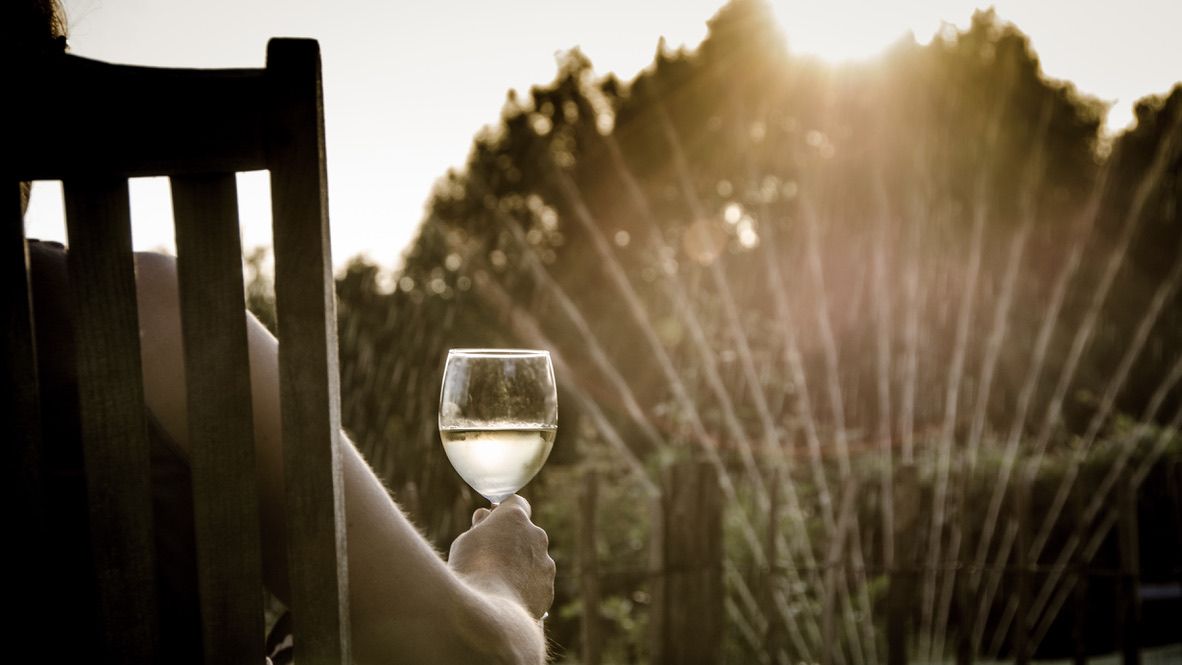 Los vinos blancos son perfectos para el verano