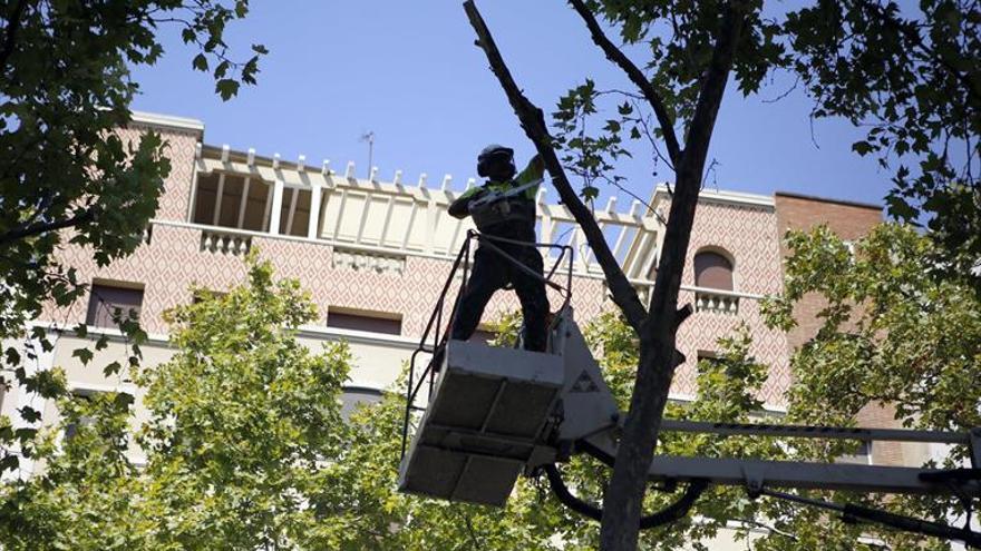 Un informe evidencia la falta de inversión en las zonas verdes