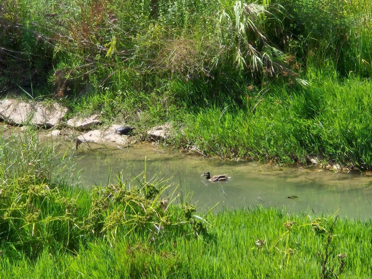 tras la denuncia este fin de semana, ayer el Magro volvió a llevar agua, como se ve en la foto.