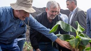 El presidente Fernando Clavijo (c) y Francisco Lorenzo (i) plantan una platanera.