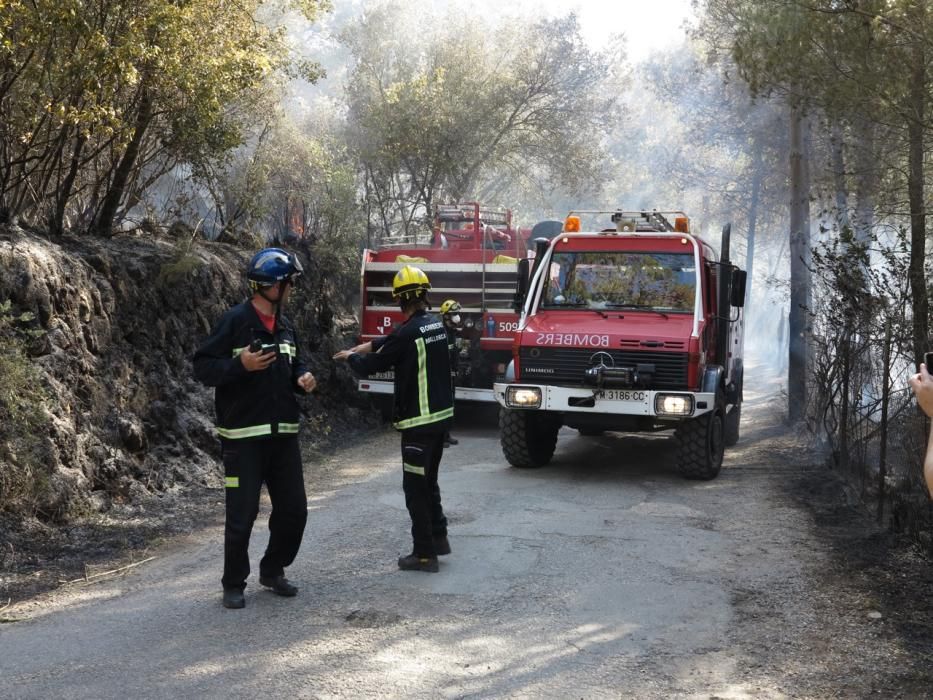 Waldbrand bei Puigpunyent