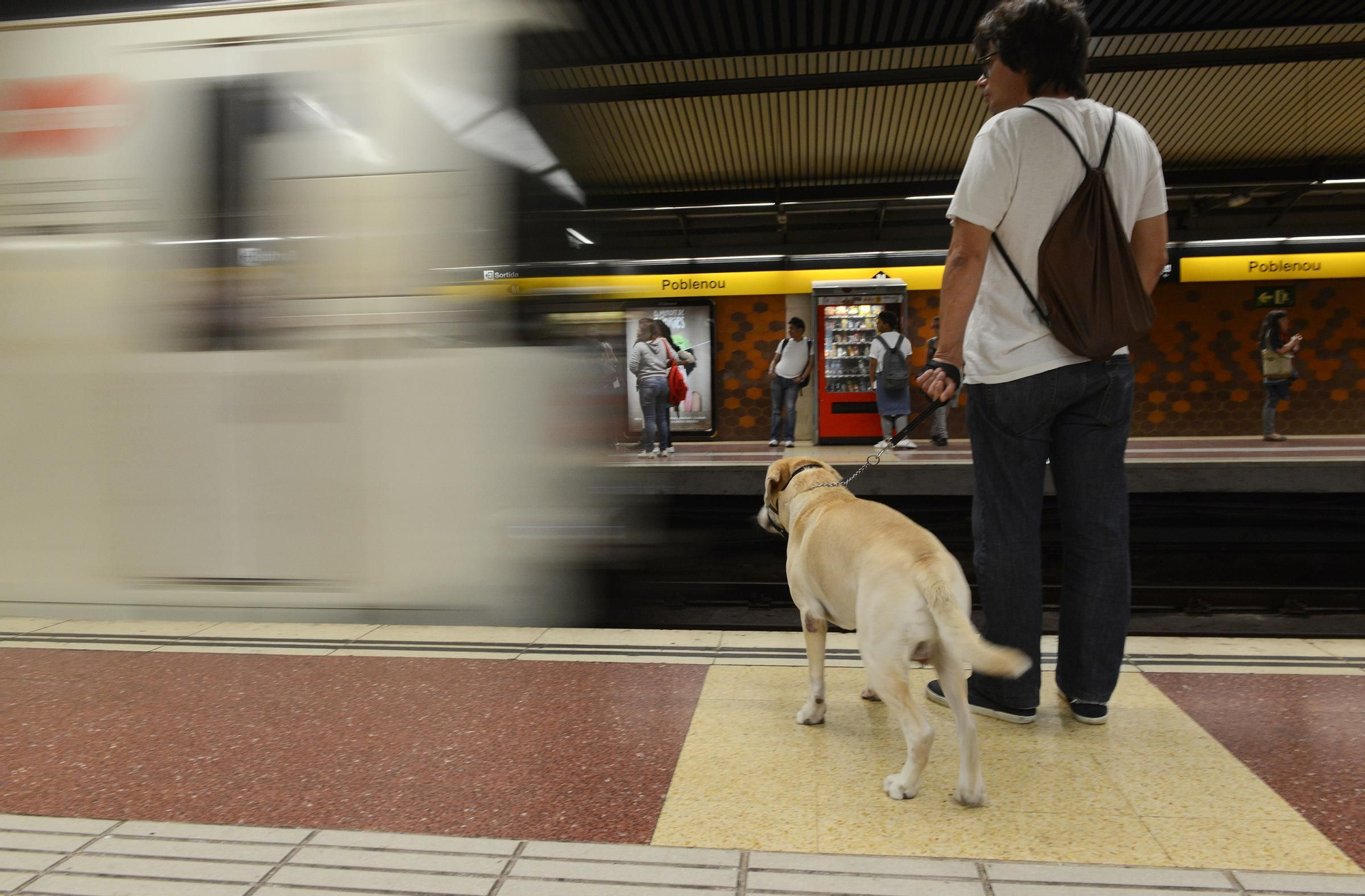 PRIMER DIA EN EL QUE LOS PERROS PUEDEN ENTRAR AL METRO.