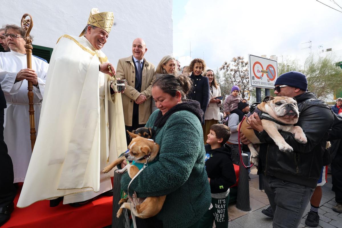 Todas las imágenes de la bendición de animales en Sant Antoni