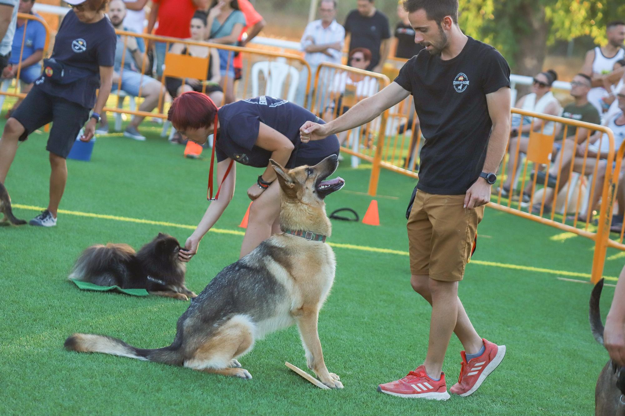 Feria del Ganado Dolores FEGADO 2022