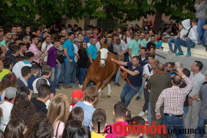 Caballos del Vino: Concurso morfológico (premios)