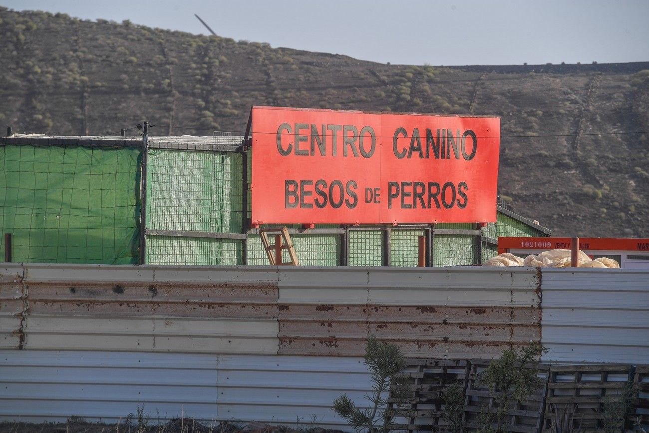 Detenido un joven de Santa Lucía por matar a su padre de una cuchillada en el cuello