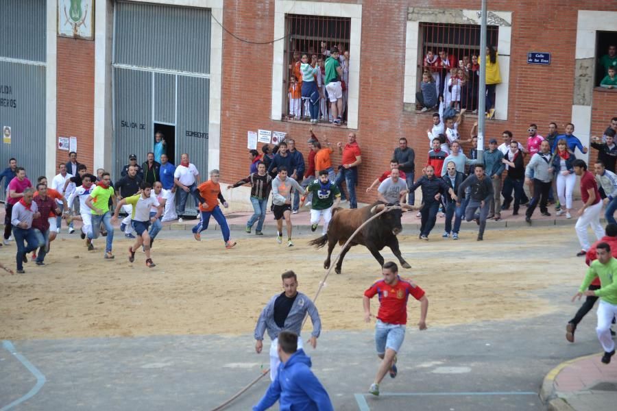 Enmaromado 2016: Lechugazo da la talla