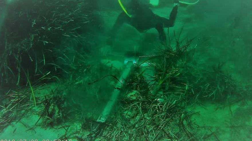 Los fondeos suponen uno de los principales problemas para la conservación de la posidonia.