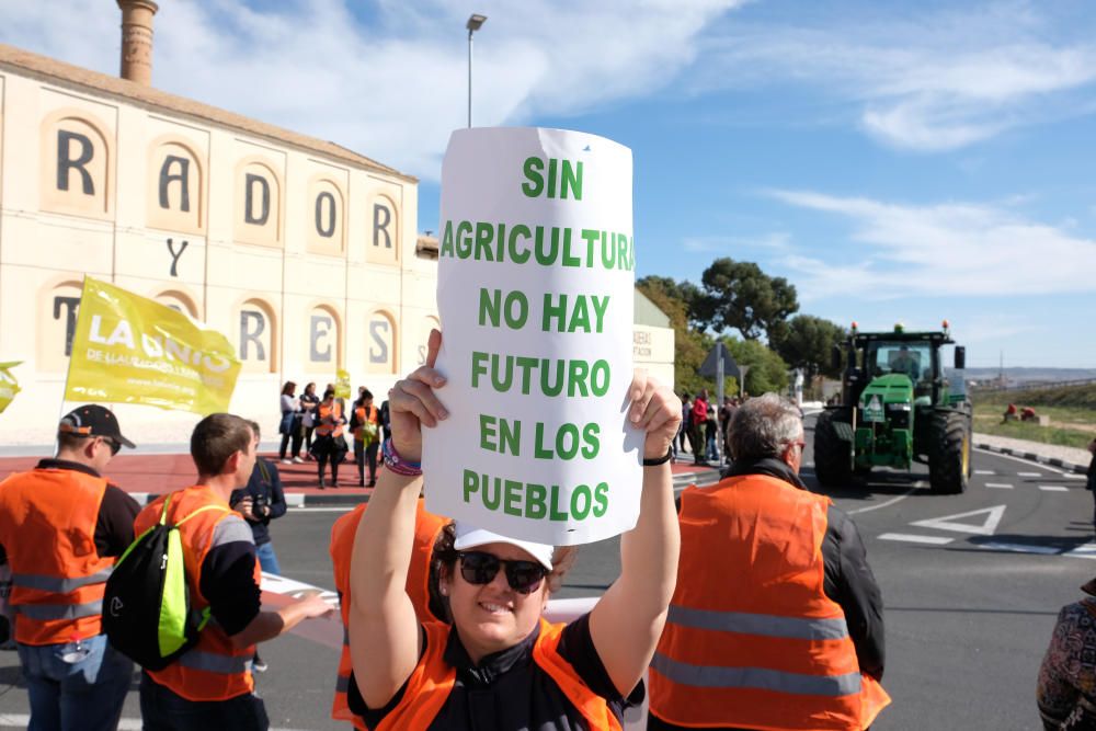 Tractorada en defensa del campo alicantino